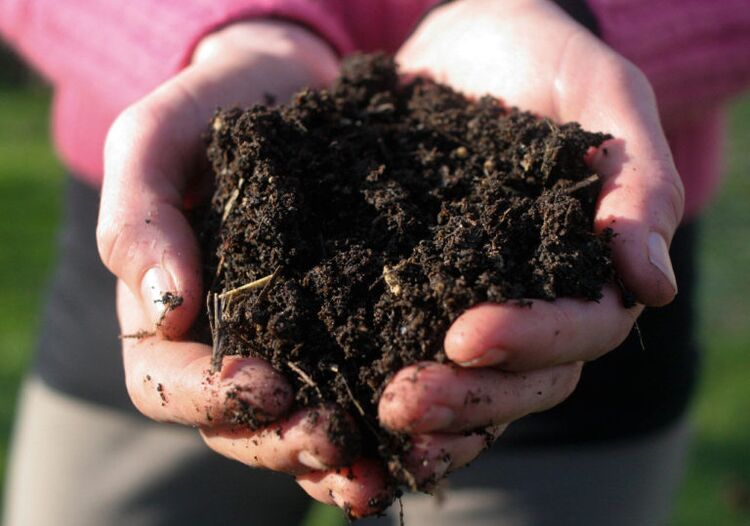 soil treatment as a cause of parasitic infection