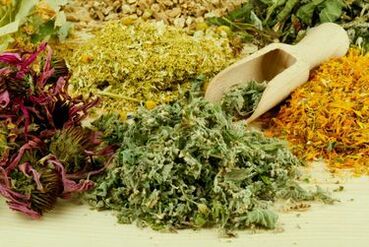 Folk medicines of parasites