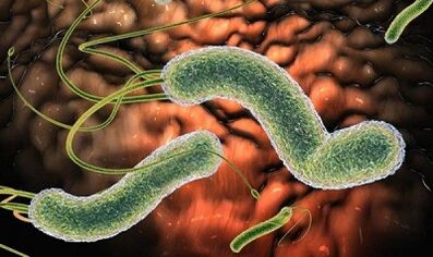 Types of parasites of human blood