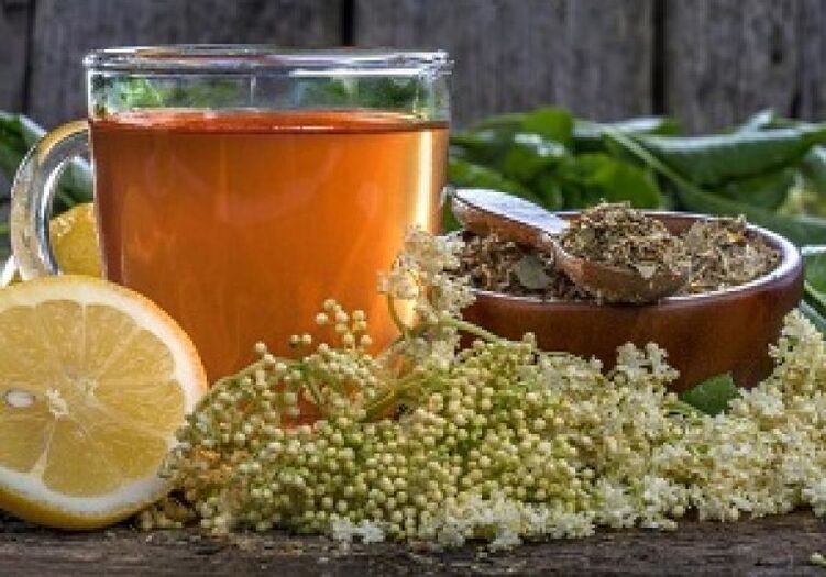 Folk remedies against worms and parasites