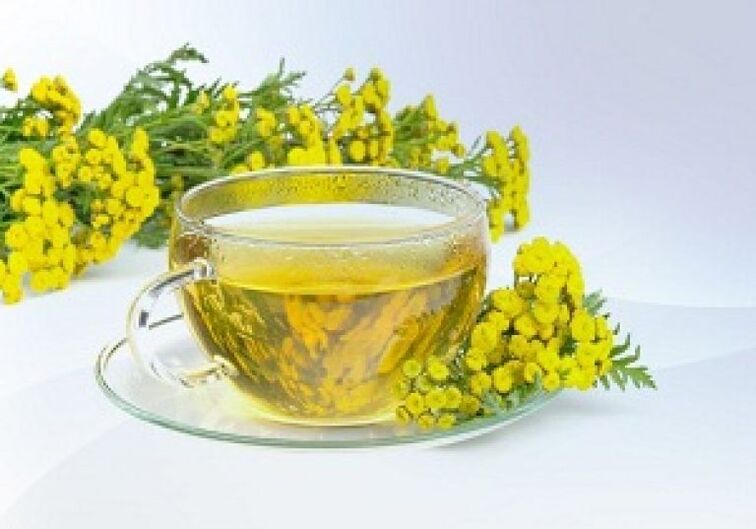 Tansy infusion helps to get rid of parasites in the body