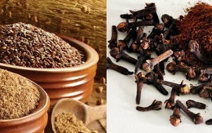 against cloves and flaxseed parasites